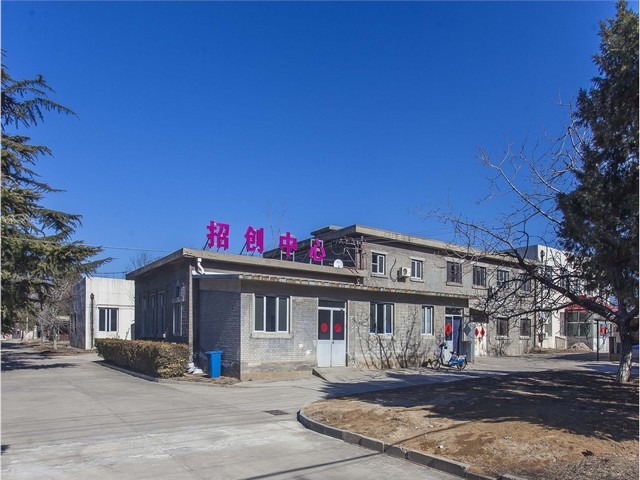 开封800吨生活垃圾焚烧炉发电项目